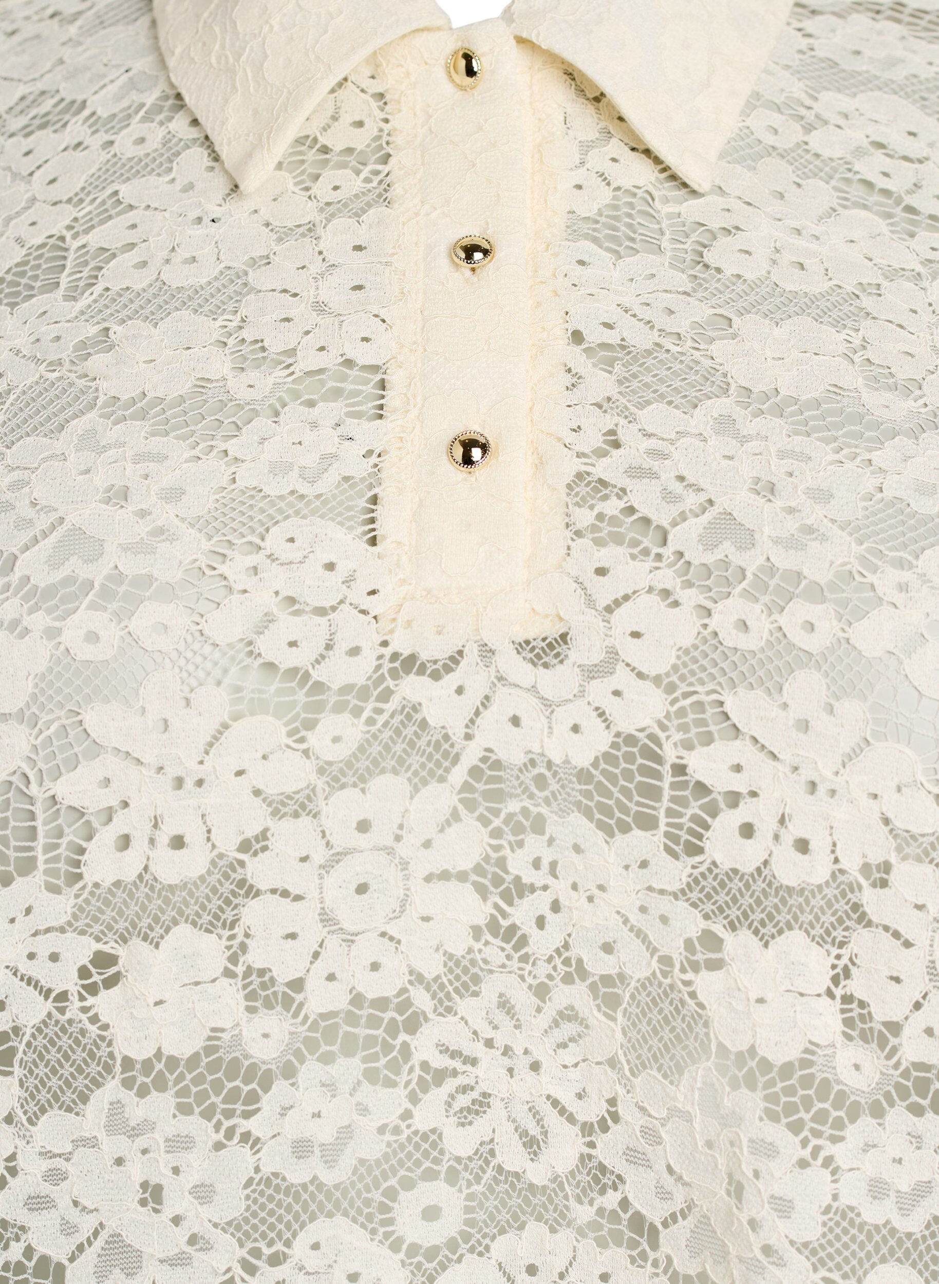 Zizzi Blouse en dentelle avec col et manches 1/2, Vanille, Packshot image number 2