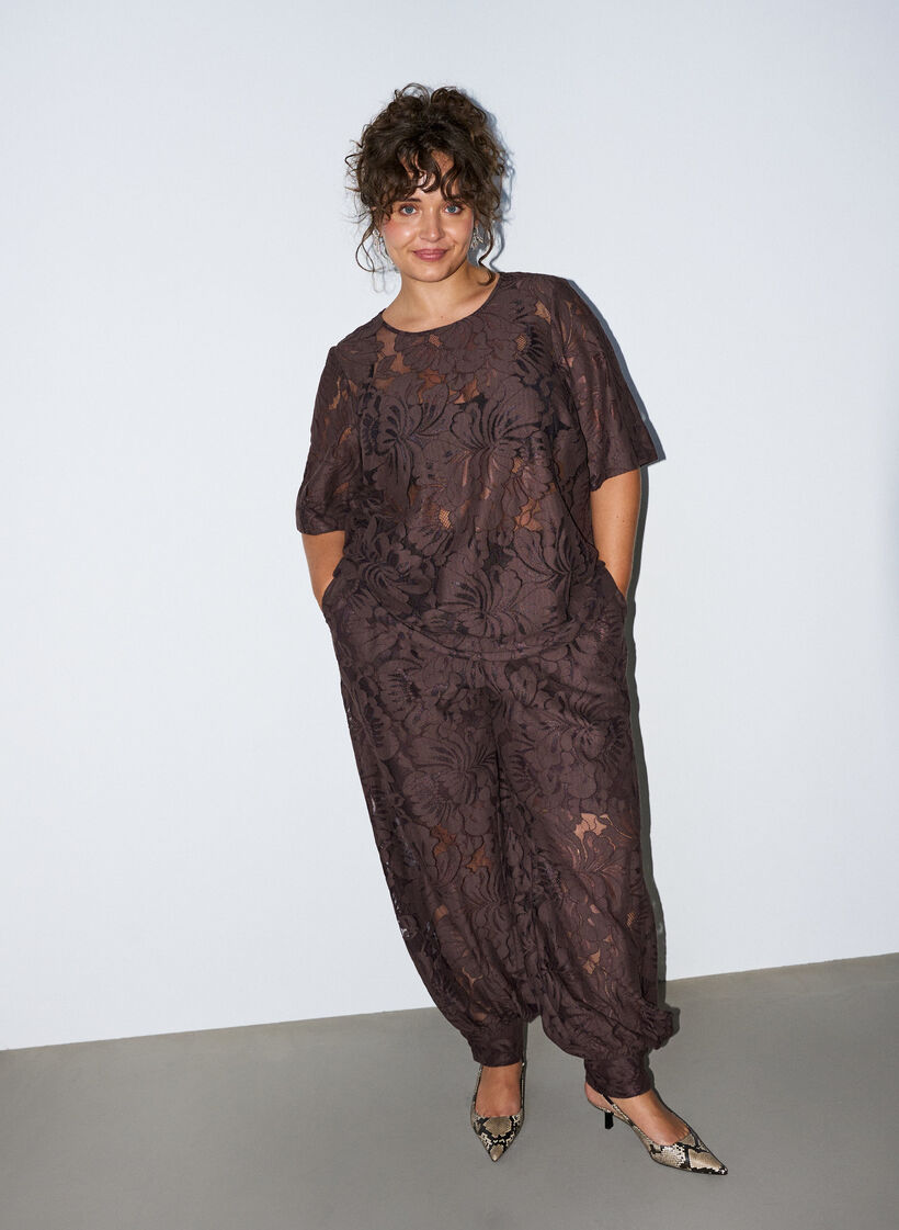 Blouse en dentelle avec manches courtes, Marron, Model image number 1