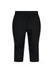 Pantalon capri en mélange de viscose, Black, Packshot image number 1