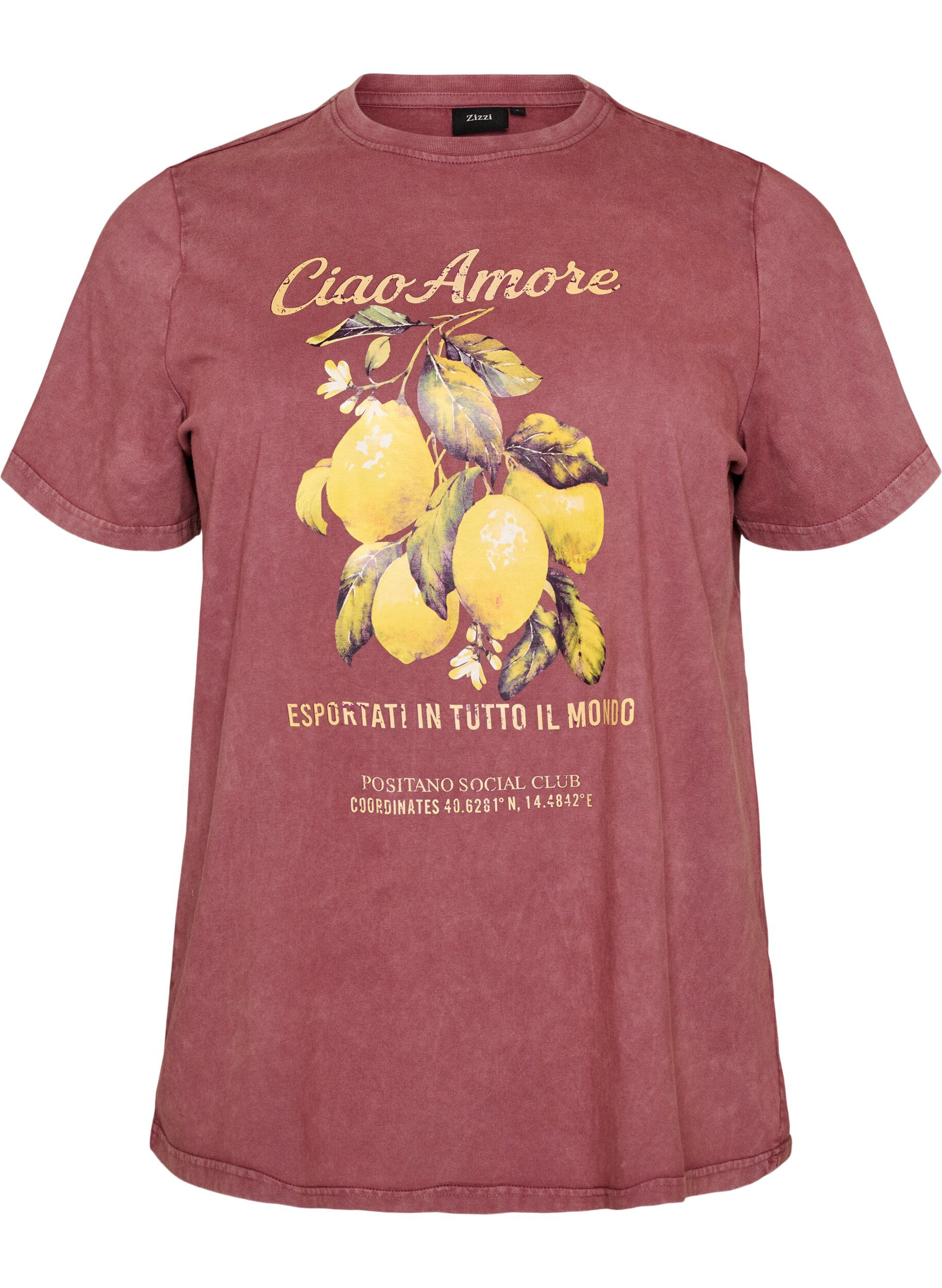 T-shirt en coton avec imprim&eacute; sur le devant et effet d&eacute;lav&eacute;
