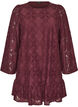 Robe en dentelle avec manches longues et ourlet &agrave; volants, Bordeaux fonc&eacute;, Packshot image number 0