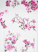 T-shirt met bloemenprint, Roze, Packshot image number 2