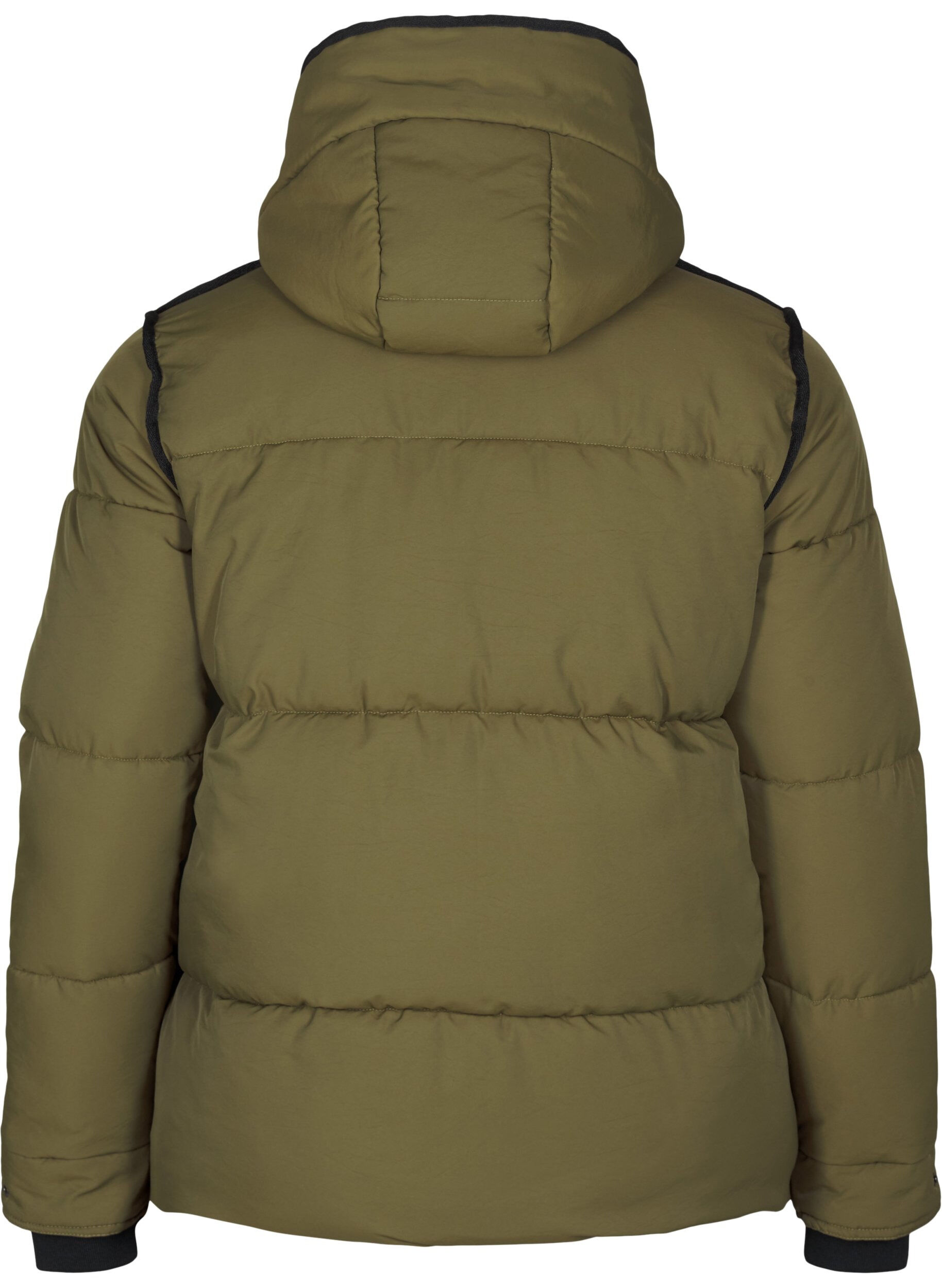 ZizziKorte puffer jas met contrastdetails, Groen, Packshot image number 1