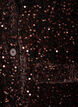 Blazer &agrave; paillettes, Marron, Packshot image number 2