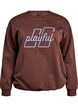 Sweatshirt avec motif &agrave; l'avant, Marron, Packshot image number 0