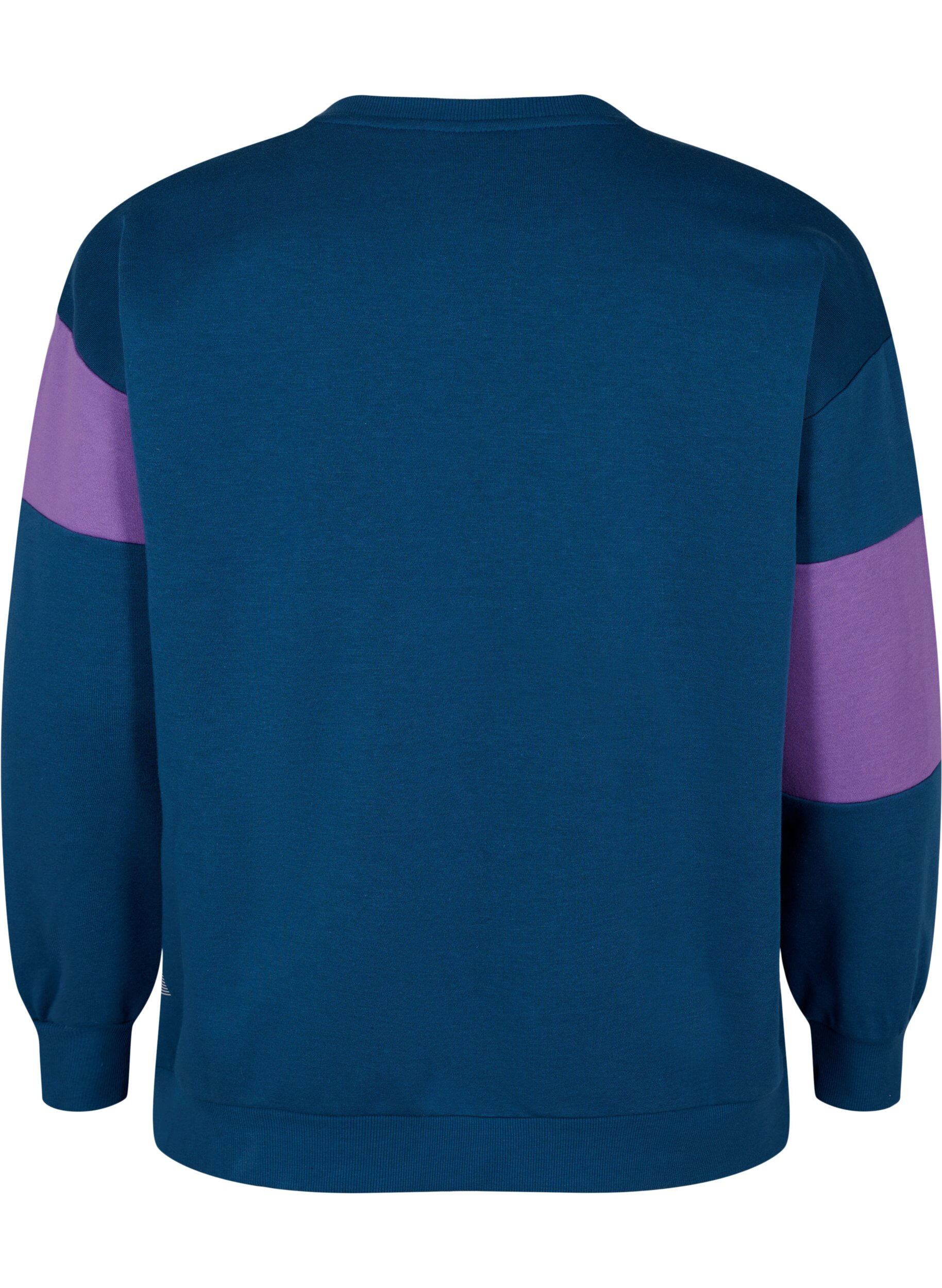 ZizziSweatshirt met sportieve print, Blue Wing Teal Comb, Packshot image number 1