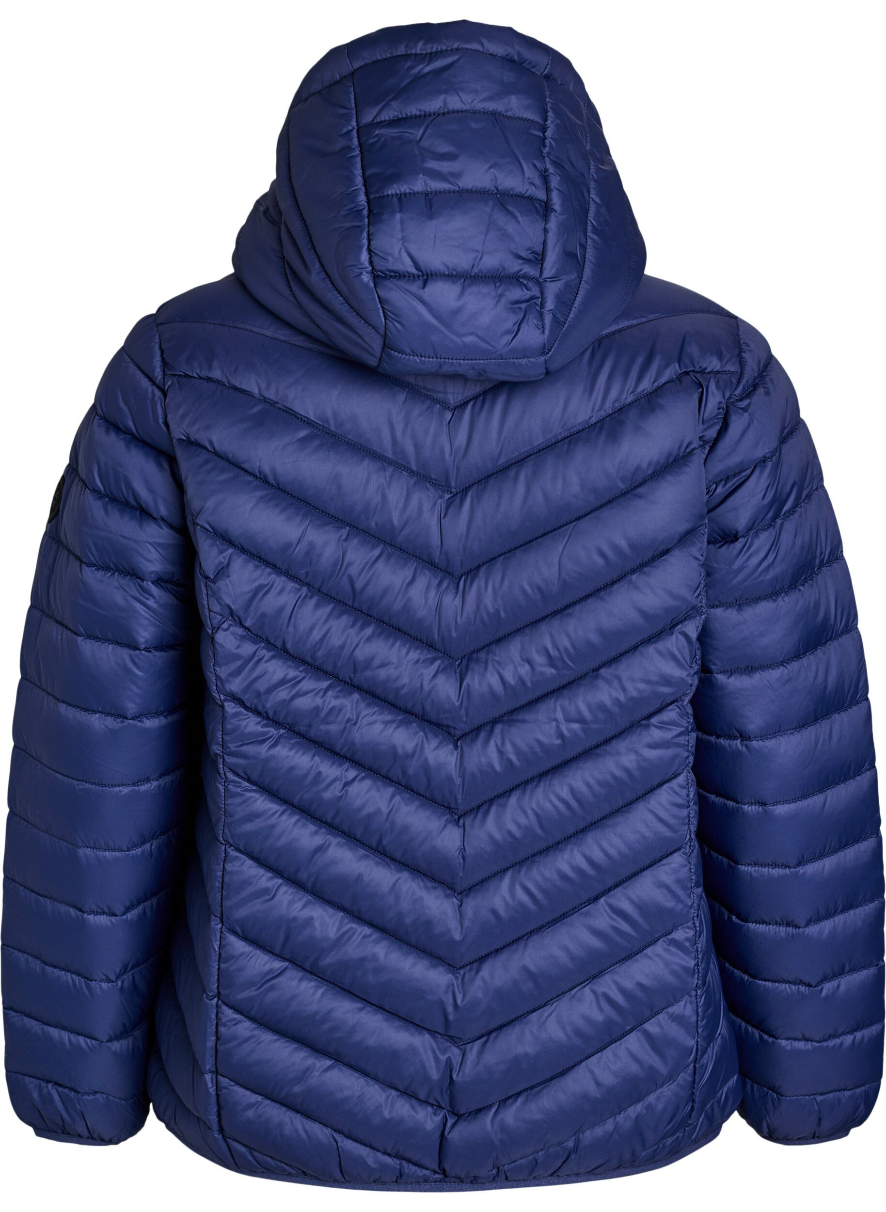 ZizziDoudoune l&eacute;g&egrave;re matelass&eacute;e &agrave; capuche, Bleu, Packshot image number 1