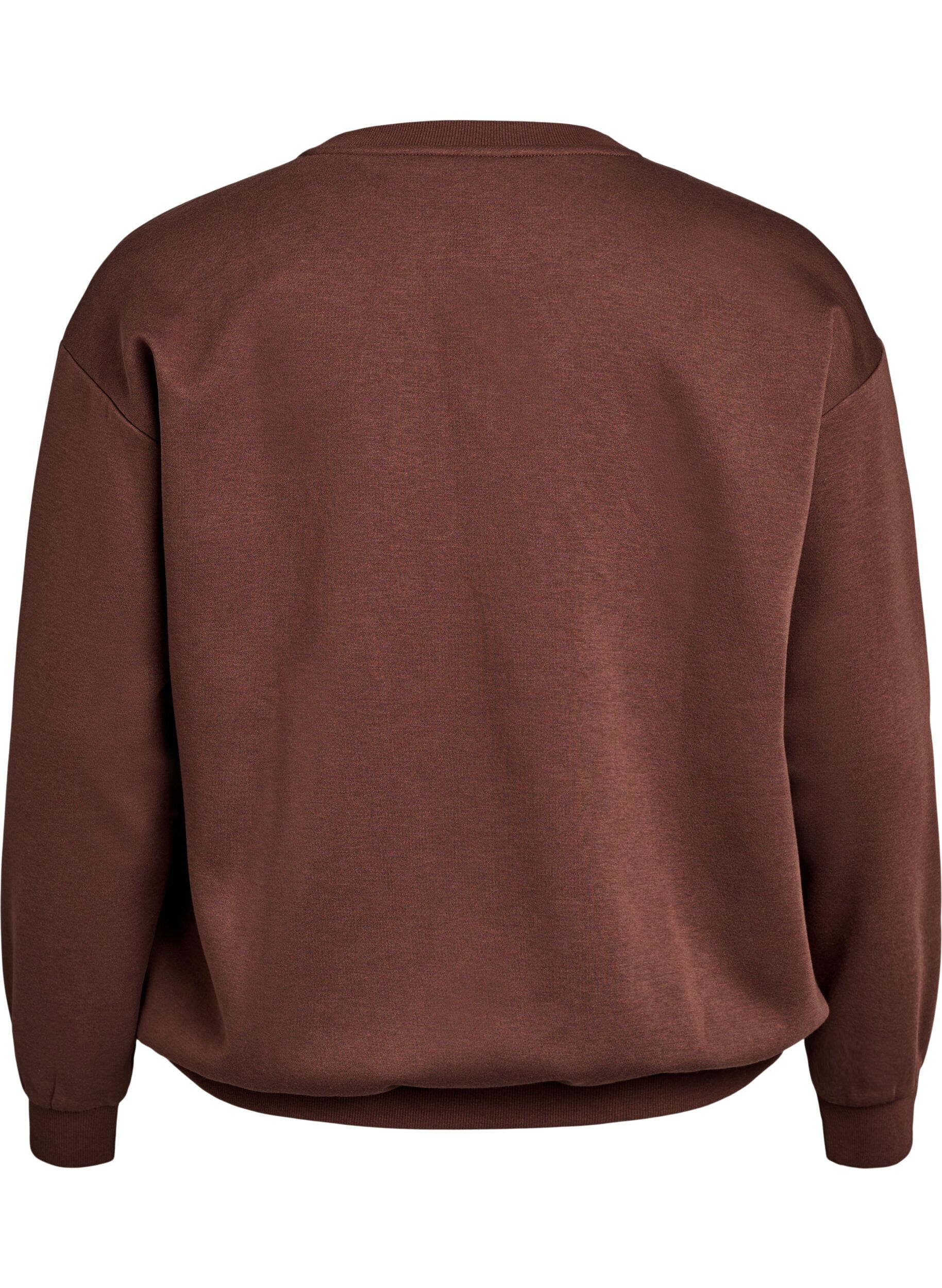 Zizzi Sweatshirt avec motif &agrave; l'avant, Marron, Packshot image number 1