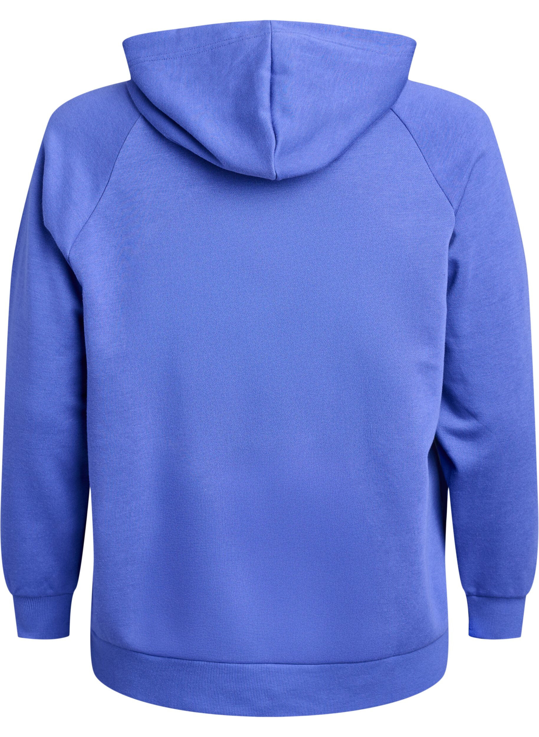 ZizziHoodie met geborduurd frontmotief, Blauw, Packshot image number 1