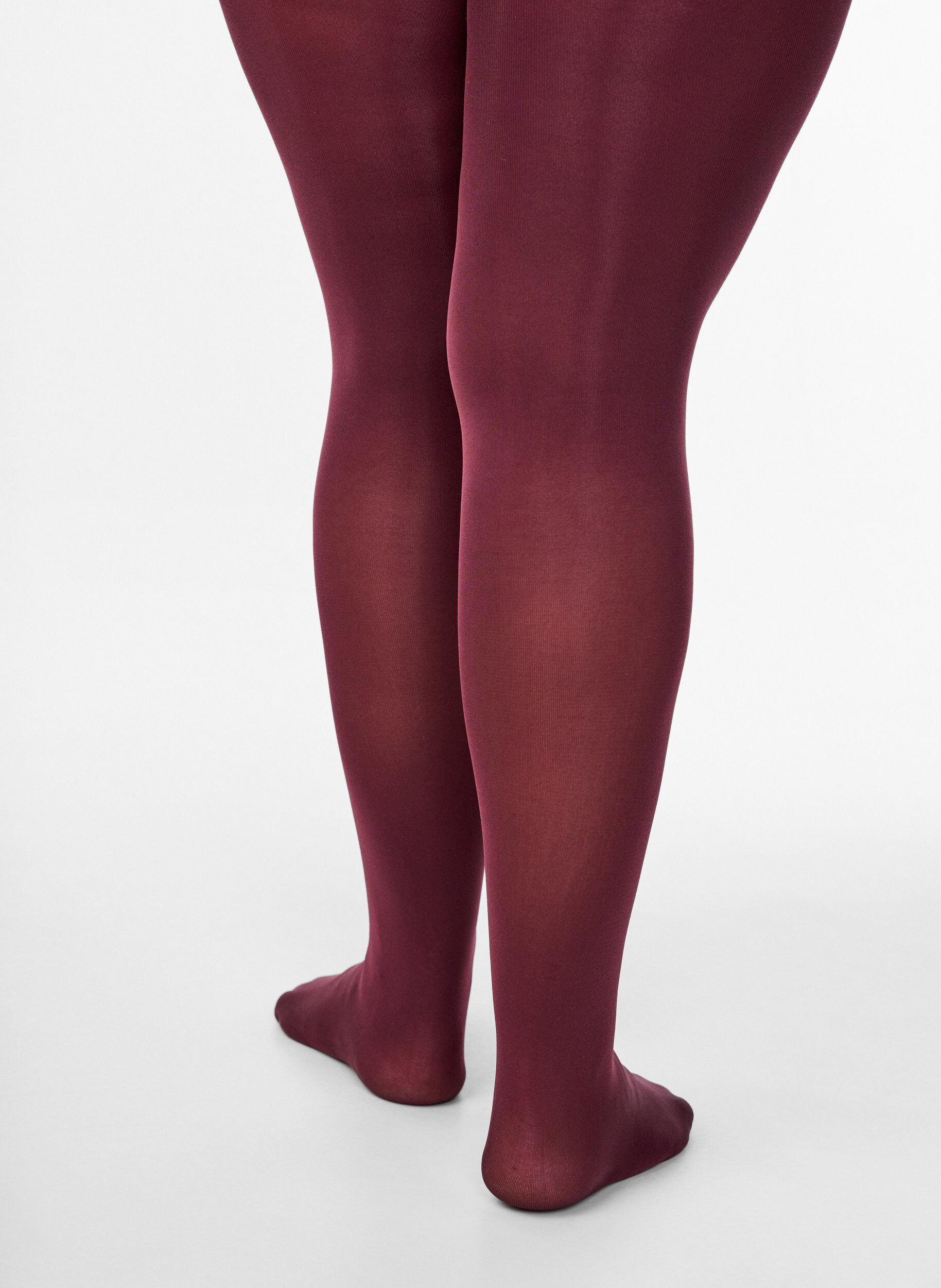 Zizzi100 denier panties, Rood, Model image number 3