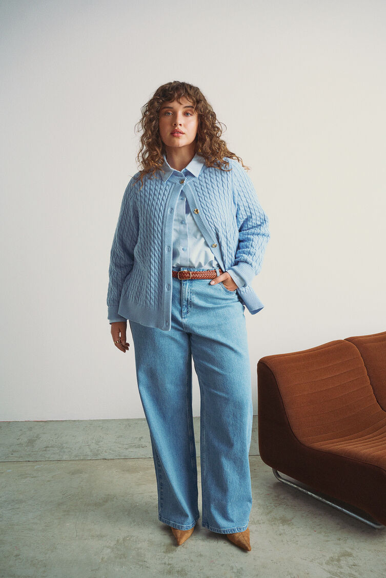 D&eacute;tails bleus, , Model